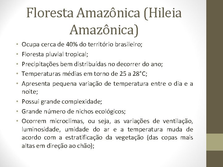 Floresta Amazônica (Hileia Amazônica) Ocupa cerca de 40% do território brasileiro; Floresta pluvial tropical;