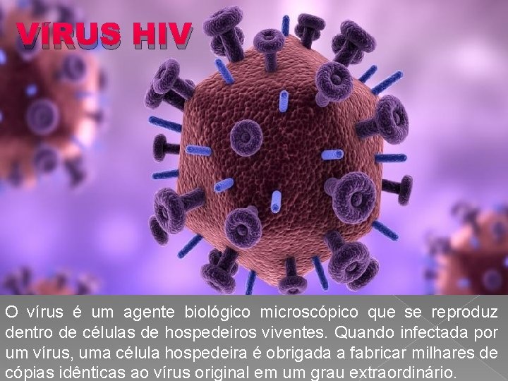 VÍRUS HIV O vírus é um agente biológico microscópico que se reproduz dentro de