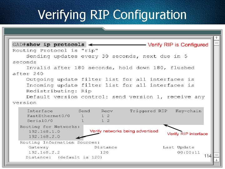 Verifying RIP Configuration 114 