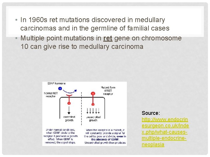  • In 1960 s ret mutations discovered in medullary carcinomas and in the