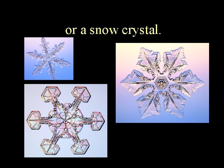 or a snow crystal. 