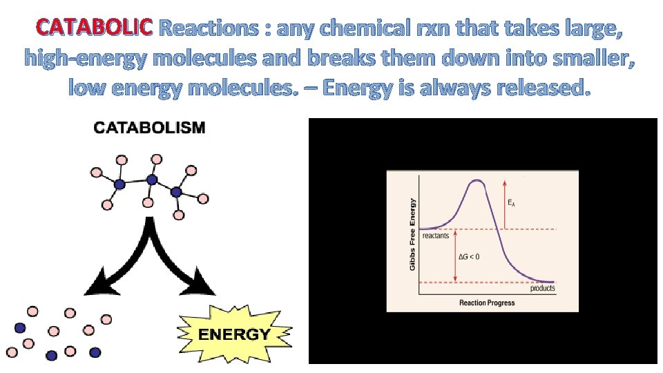 CATABOLIC Reactions : any chemical rxn that takes large, high-energy molecules and breaks them