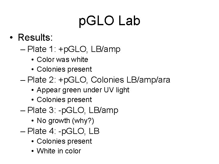 p. GLO Lab • Results: – Plate 1: +p. GLO, LB/amp • Color was
