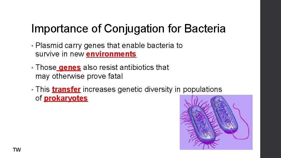 Importance of Conjugation for Bacteria TW • Plasmid carry genes that enable bacteria to