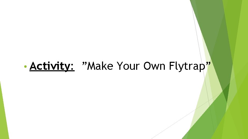  • Activity: ”Make Your Own Flytrap” 