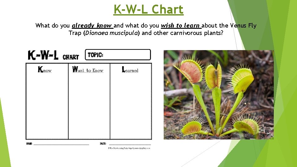 K-W-L Chart What do you already know and what do you wish to learn
