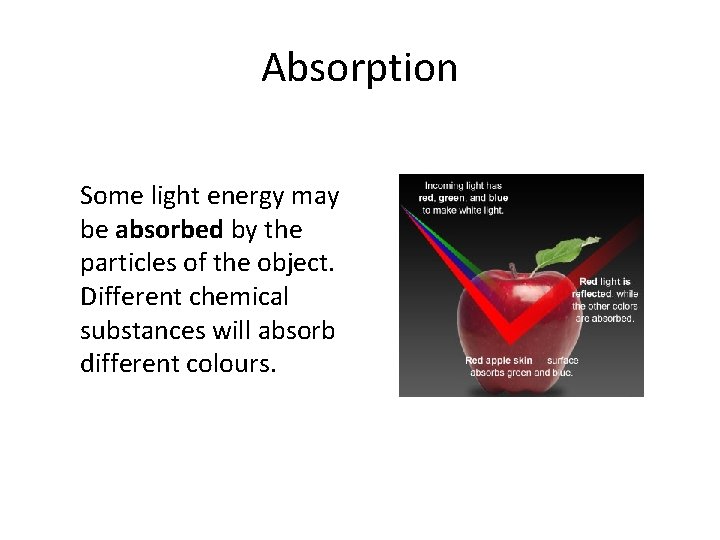 Absorption Some light energy may be absorbed by the particles of the object. Different
