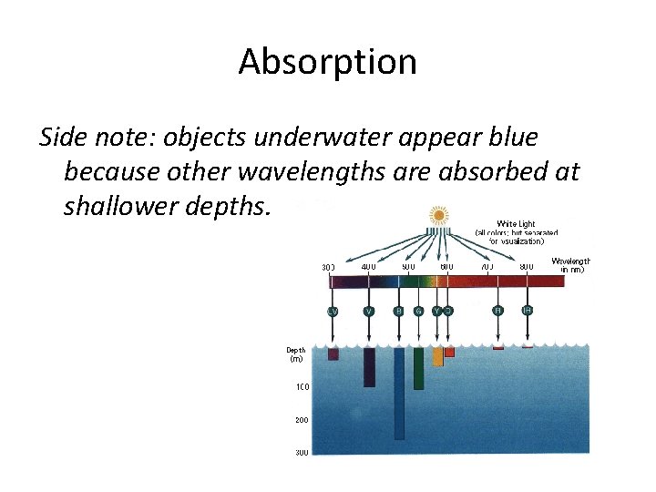 Absorption Side note: objects underwater appear blue because other wavelengths are absorbed at shallower