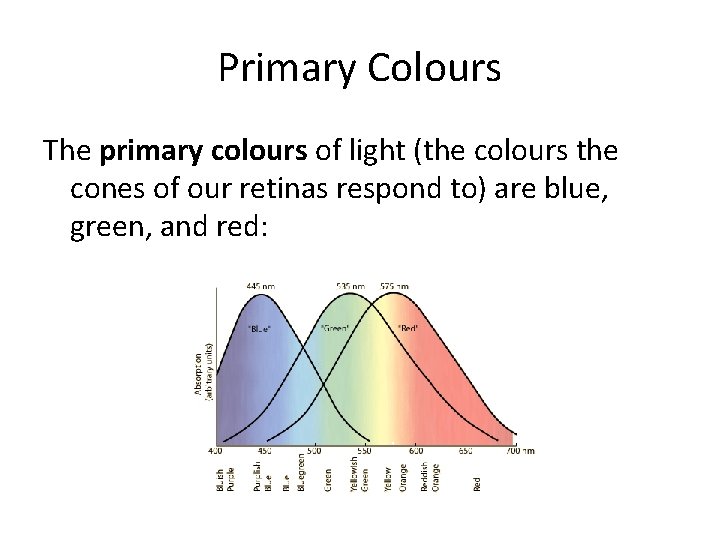 Primary Colours The primary colours of light (the colours the cones of our retinas