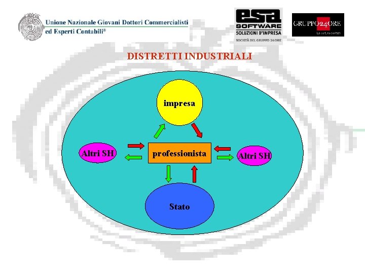 DISTRETTI INDUSTRIALI impresa Altri SH professionista Stato Altri SH 