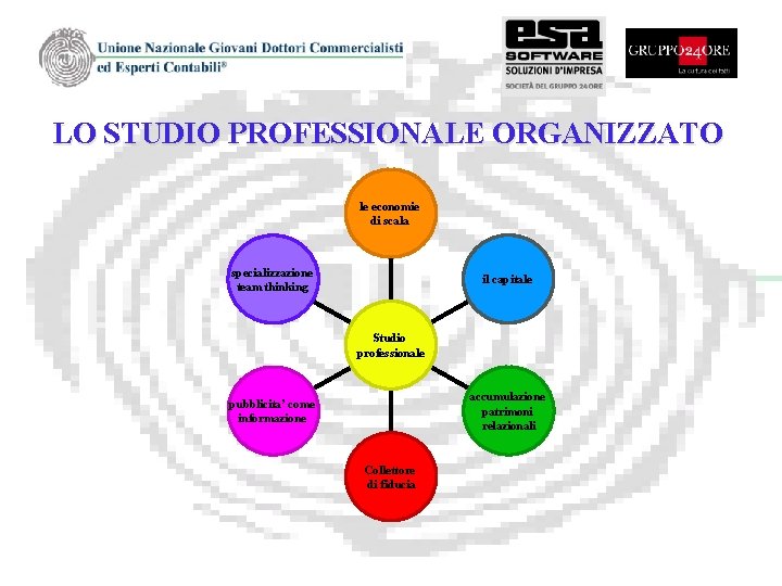 LO STUDIO PROFESSIONALE ORGANIZZATO le economie di scala specializzazione team thinking il capitale Studio