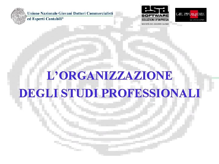 L’ORGANIZZAZIONE DEGLI STUDI PROFESSIONALI 