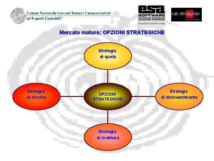 Mercato maturo: OPZIONI STRATEGICHE Strategia di quota Strategia di nicchia OPZIONI STRATEGICHE Strategia di