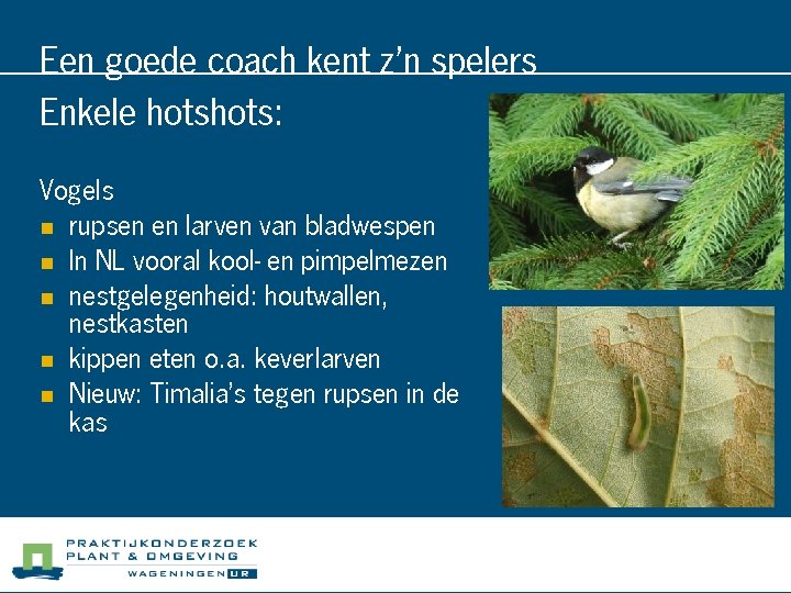 Een goede coach kent z’n spelers Enkele hots: Vogels n rupsen en larven van