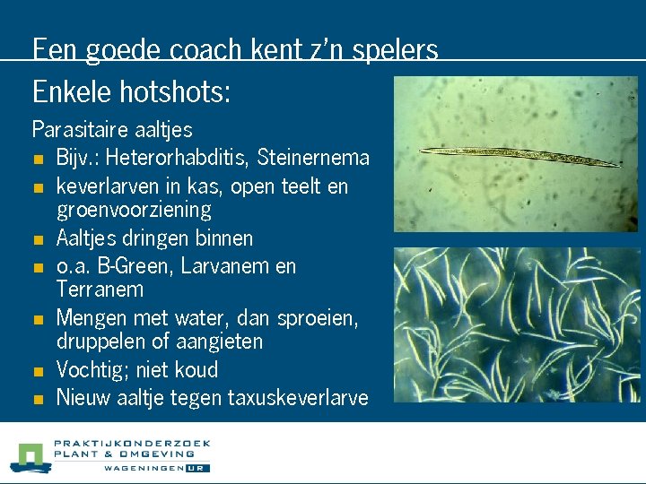 Een goede coach kent z’n spelers Enkele hots: Parasitaire aaltjes n Bijv. : Heterorhabditis,