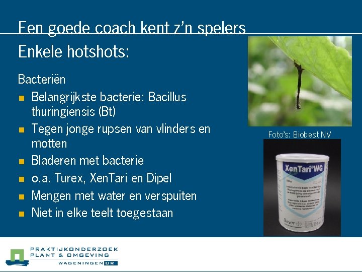 Een goede coach kent z’n spelers Enkele hots: Bacteriën n Belangrijkste bacterie: Bacillus thuringiensis