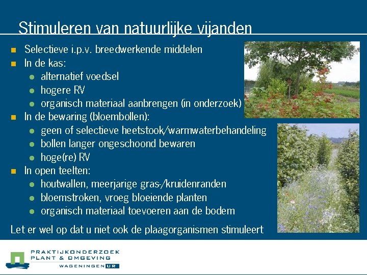 Stimuleren van natuurlijke vijanden n n Selectieve i. p. v. breedwerkende middelen In de