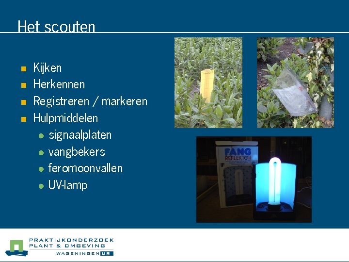 Het scouten n n Kijken Herkennen Registreren / markeren Hulpmiddelen l signaalplaten l vangbekers