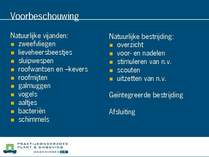 Voorbeschouwing Natuurlijke vijanden: n zweefvliegen n lieveheersbeestjes n sluipwespen n roofwantsen en –kevers n