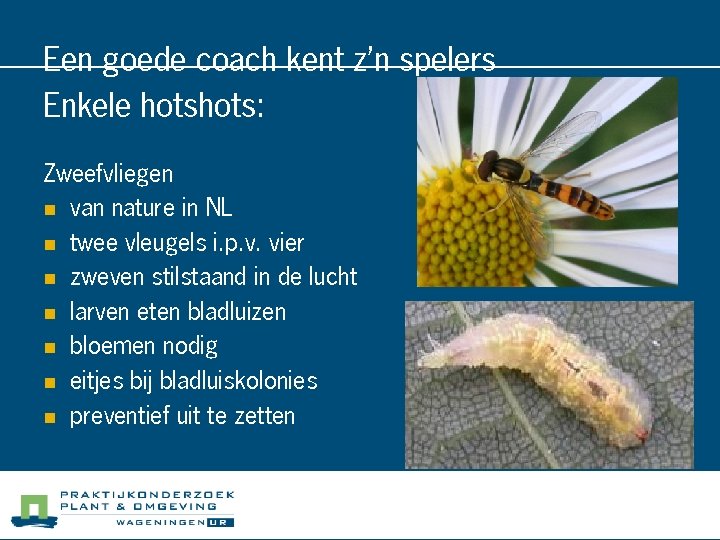 Een goede coach kent z’n spelers Enkele hots: Zweefvliegen n van nature in NL