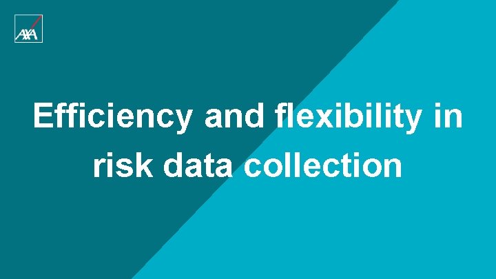 Efficiency and flexibility in risk data collection 