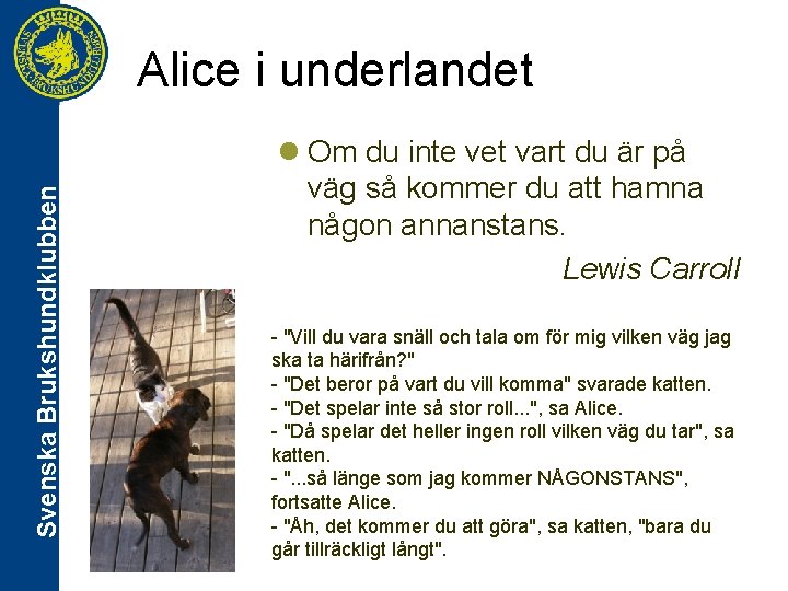 Svenska Brukshundklubben Alice i underlandet l Om du inte vet vart du är på