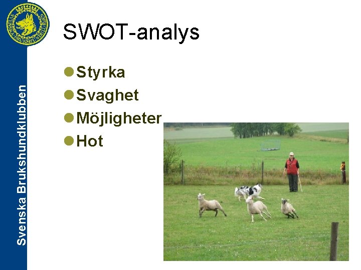 Svenska Brukshundklubben SWOT-analys l Styrka l Svaghet l Möjligheter l Hot 