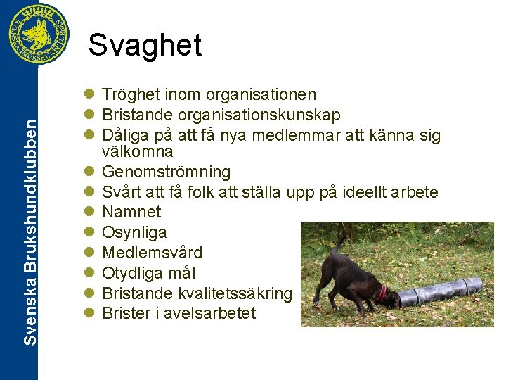 Svenska Brukshundklubben Svaghet l Tröghet inom organisationen l Bristande organisationskunskap l Dåliga på att
