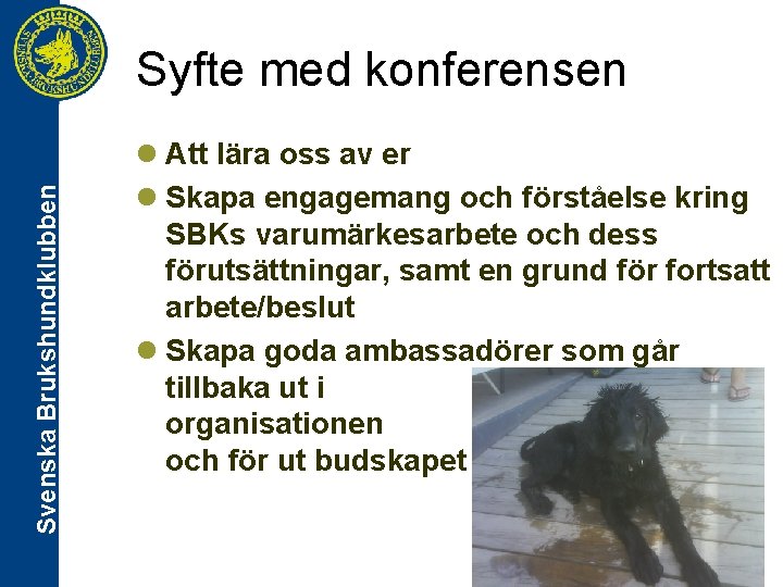 Svenska Brukshundklubben Syfte med konferensen l Att lära oss av er l Skapa engagemang
