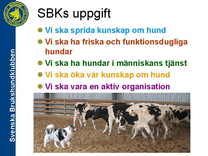 Svenska Brukshundklubben SBKs uppgift l Vi ska sprida kunskap om hund l Vi ska