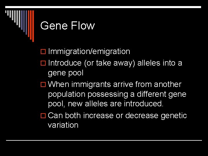 Gene Flow o Immigration/emigration o Introduce (or take away) alleles into a gene pool