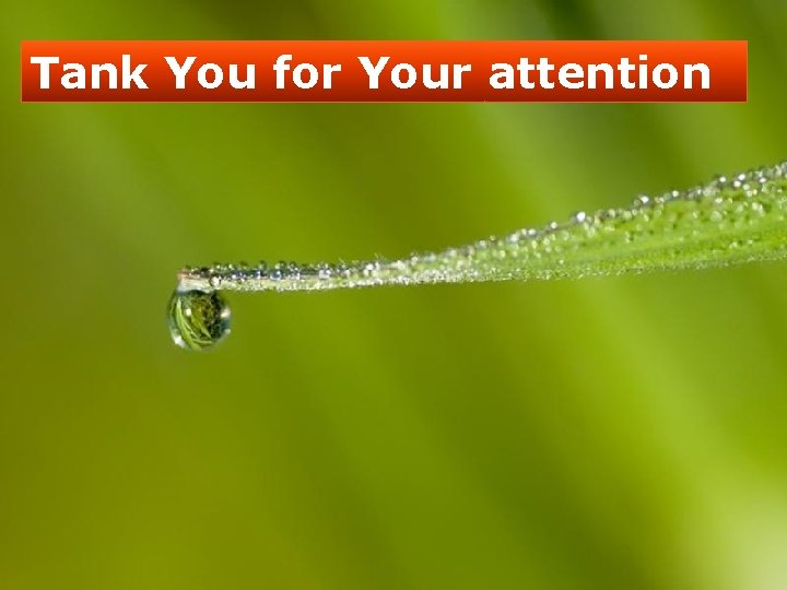 Tank You for Your attention 
