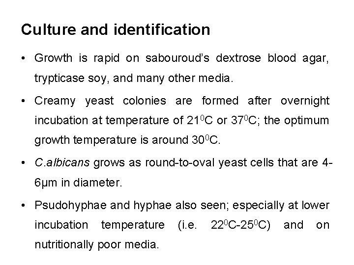 Culture and identification • Growth is rapid on sabouroud’s dextrose blood agar, trypticase soy,