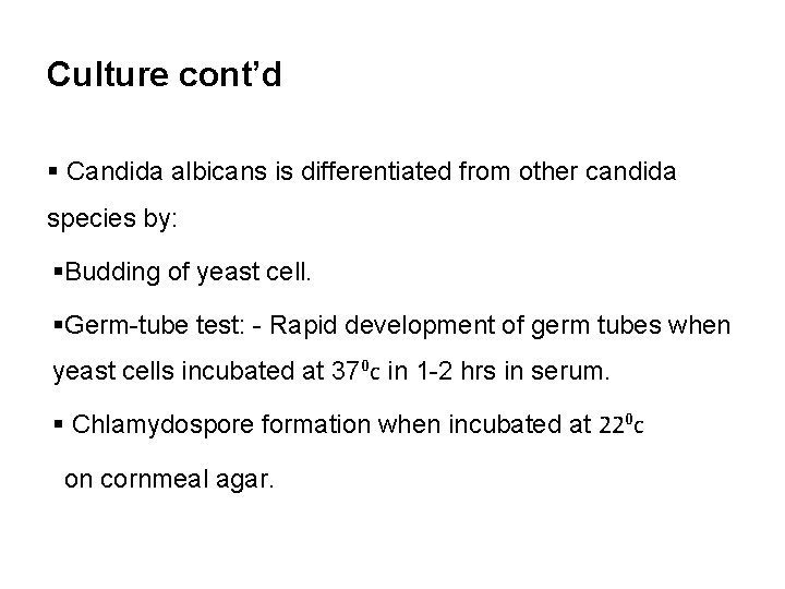 Culture cont’d § Candida albicans is differentiated from other candida species by: §Budding of
