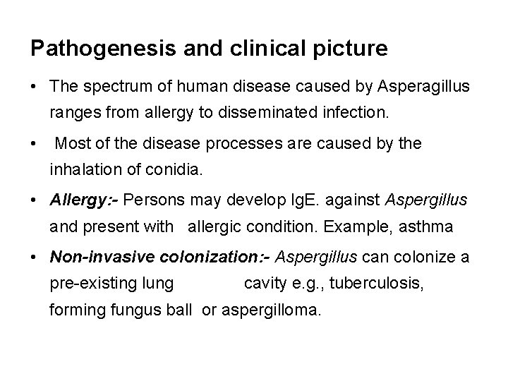 Pathogenesis and clinical picture • The spectrum of human disease caused by Asperagillus ranges