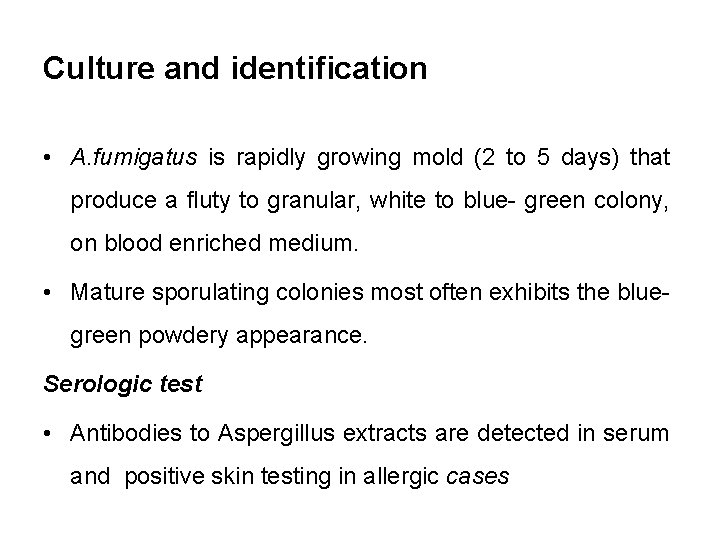 Culture and identification • A. fumigatus is rapidly growing mold (2 to 5 days)