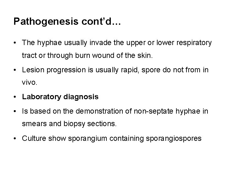 Pathogenesis cont’d… • The hyphae usually invade the upper or lower respiratory tract or