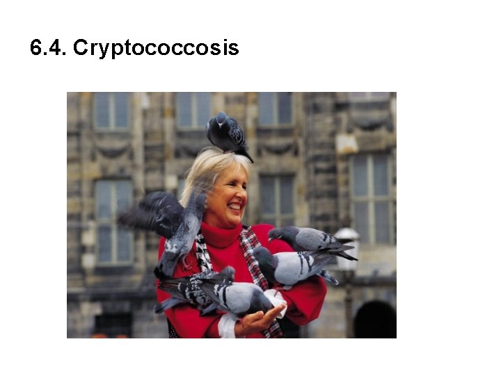 6. 4. Cryptococcosis 