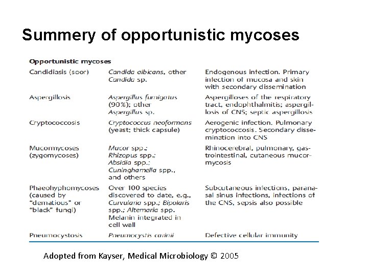 Summery of opportunistic mycoses Adopted from Kayser, Medical Microbiology © 2005 