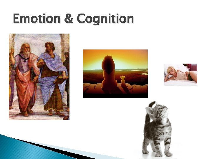 Emotion & Cognition 