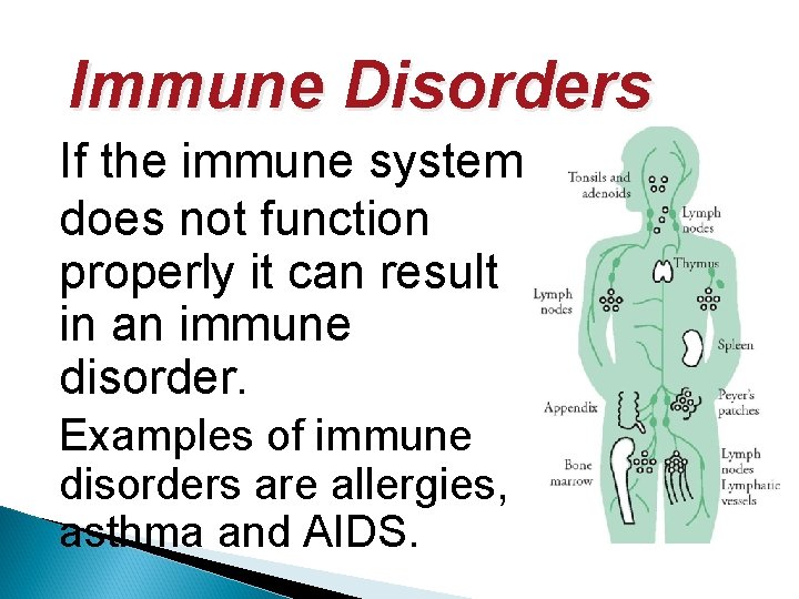 Immune Disorders If the immune system does not function properly it can result in
