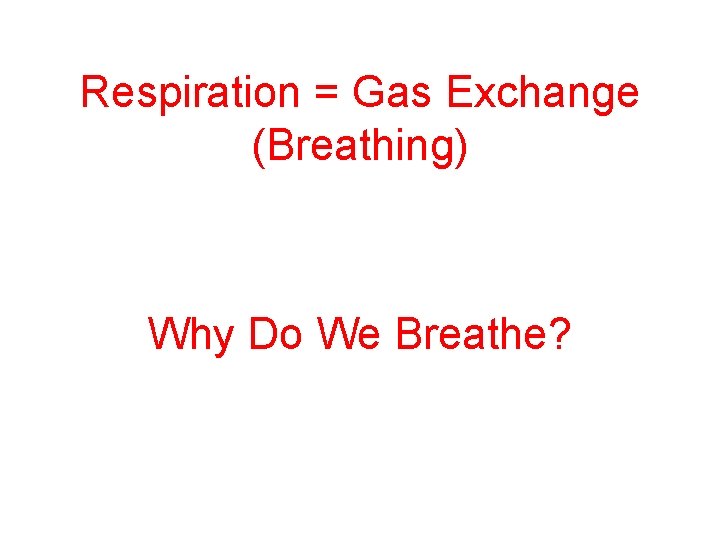 Respiration = Gas Exchange (Breathing) Why Do We Breathe? 