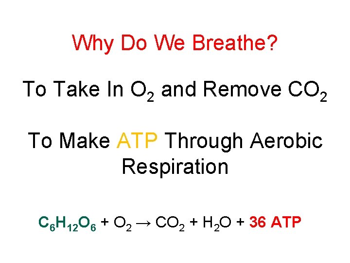 Why Do We Breathe? To Take In O 2 and Remove CO 2 To