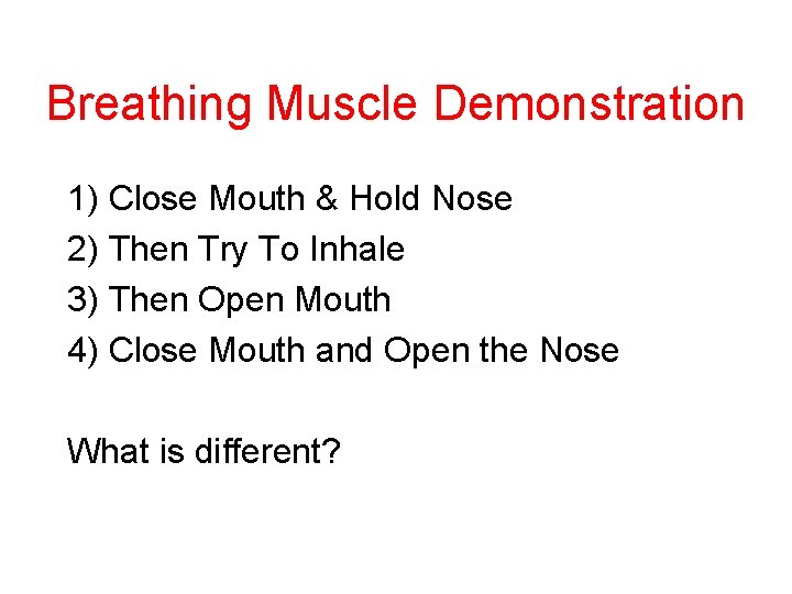 Breathing Muscle Demonstration 1) Close Mouth & Hold Nose 2) Then Try To Inhale