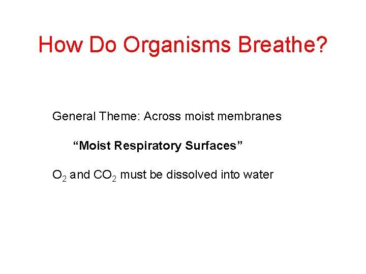 How Do Organisms Breathe? General Theme: Across moist membranes “Moist Respiratory Surfaces” O 2