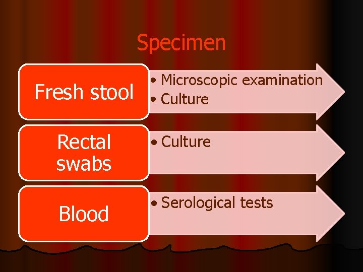 Specimen Fresh stool Rectal swabs Blood • Microscopic examination • Culture • Serological tests
