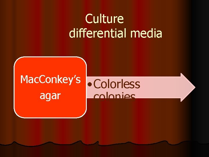 Culture differential media Mac. Conkey’s • Colorless agar colonies 