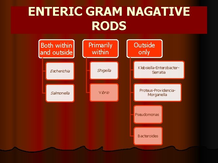 ENTERIC GRAM NAGATIVE RODS Both within and outside Primarily within Escherichia Shigella Salmonella Vibrio