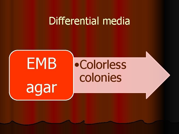 Differential media EMB agar • Colorless colonies 