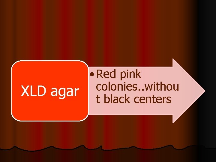 XLD agar • Red pink colonies. . withou t black centers 